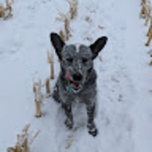 Meet your Posher, Adrena